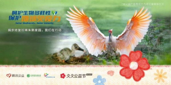 老虎配资 菲仕兰联合大客户助力朱鹮家园修复