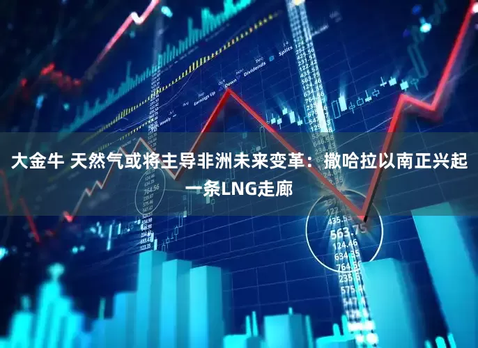 大金牛 天然气或将主导非洲未来变革:撒哈拉以南正兴起一条LNG走廊
