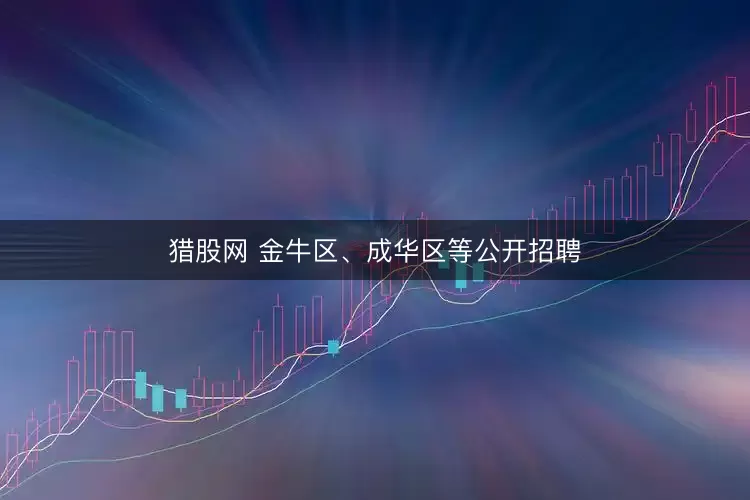 猎股网 金牛区、成华区等公开招聘